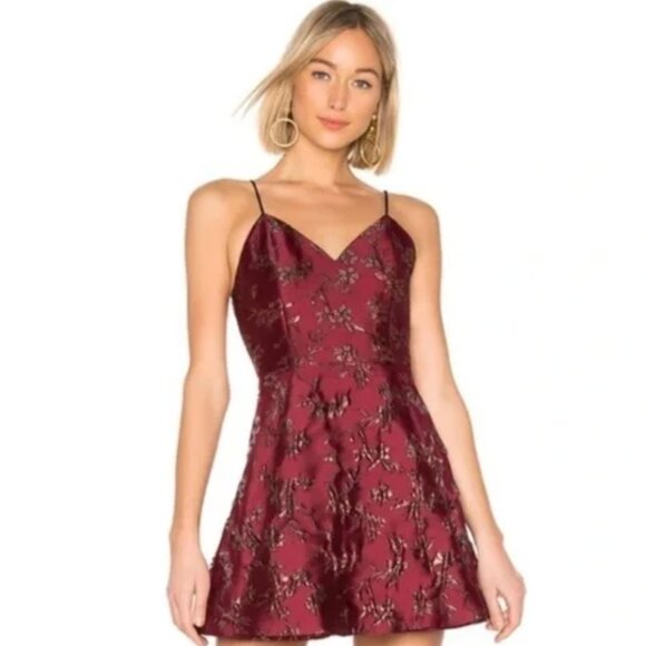 NWT Alice & Olivia Sz 6 AnetteMetallic Floral HOLIDAY Party Dress in Bordeaux